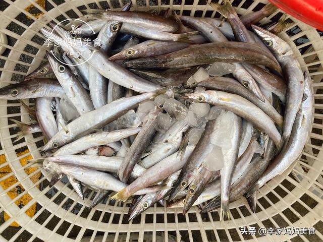 泉州休渔期什么时候结束,泉州休渔期2022时间表