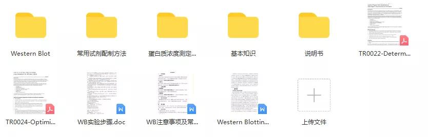 westernblot资源大全，基础实验中最基本的WB应该是必须知道哒