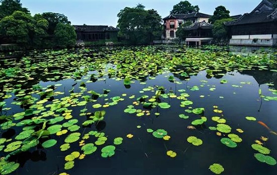 浙江南浔哪个乡镇最穷,南浔为什么这么冷门