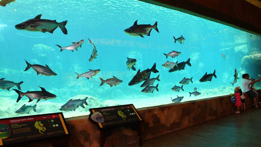 新加坡三个动物园哪个最好,新加坡动物园哪个最值得去看