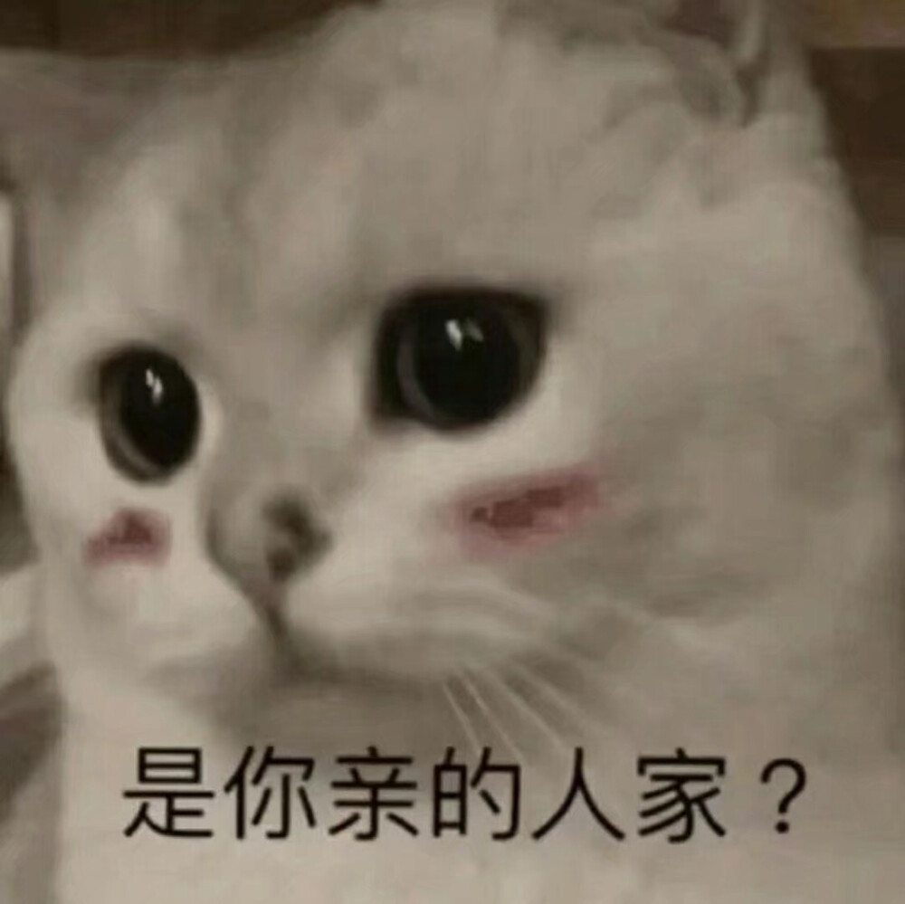 表情包大全可爱简单,可爱表情包我就是个不争气的东西