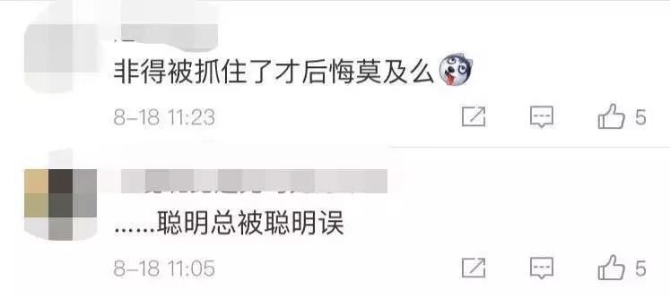 恶意逃票40余次,上海男子恶意逃票480次