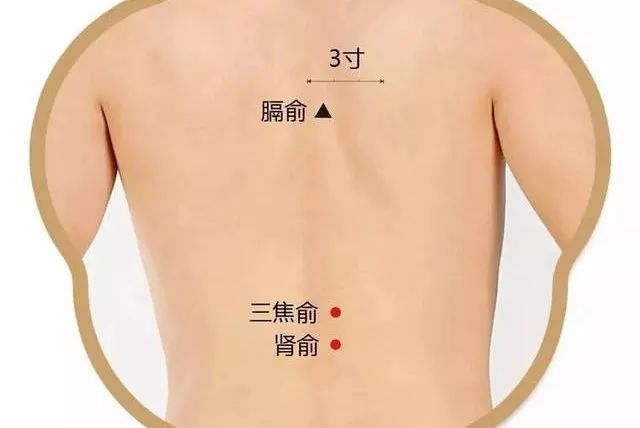 久坐后腰痛的缓解方法,久坐腰疼屁股疼拉伸动作