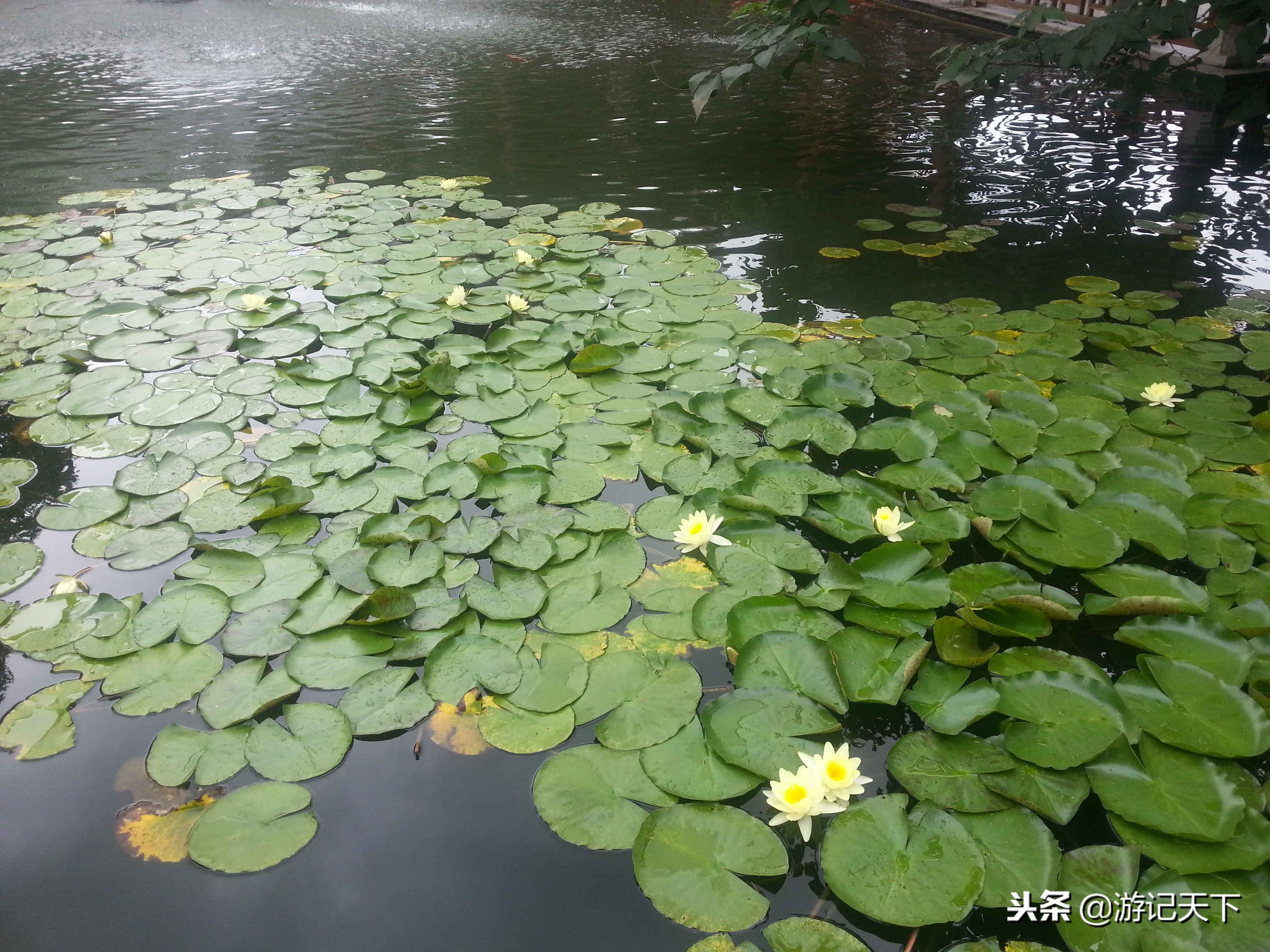 亚洲第一瀑——黄果树大瀑布