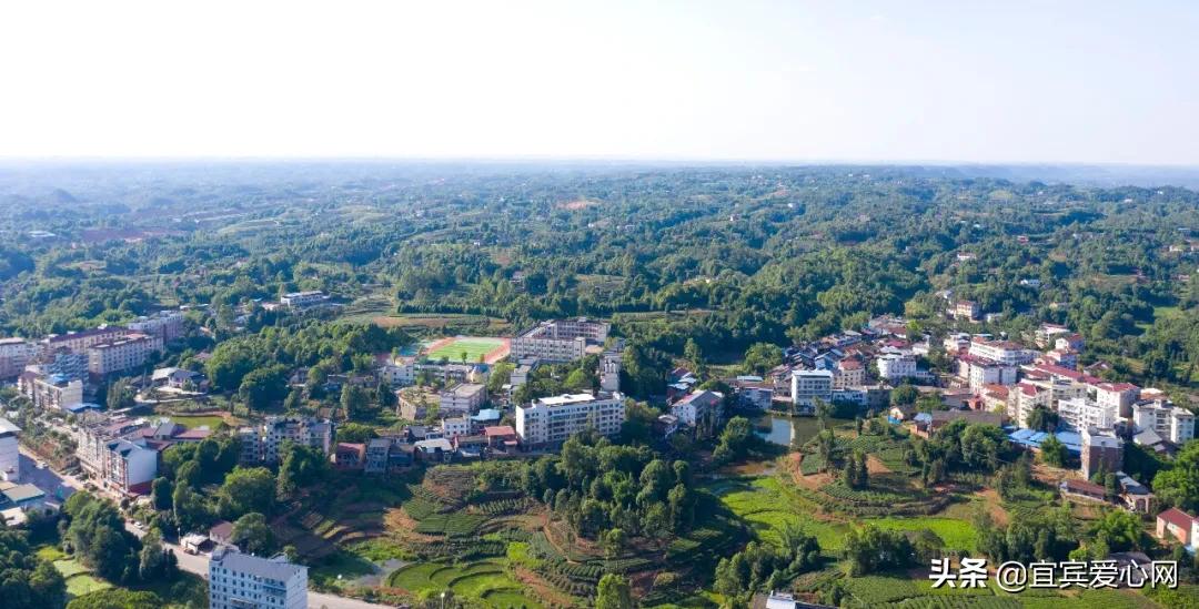 航拍青山绿水震撼风景竖屏视频,震撼校园秋景航拍