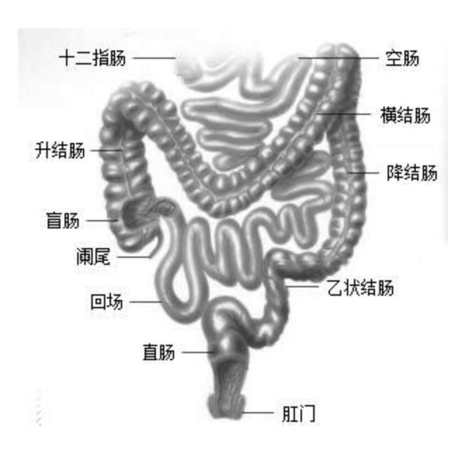 医生不会告诉你的10大秘密,医生不会告诉你眼科的秘密
