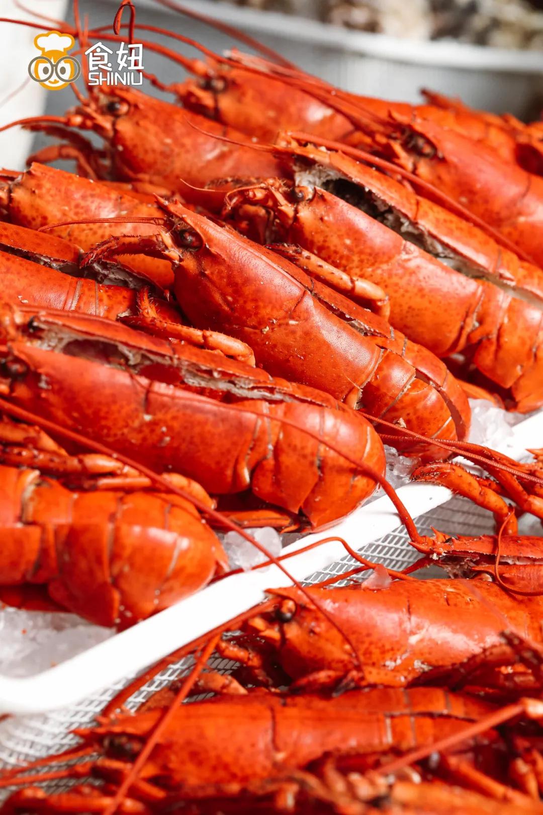 芝士波士顿龙虾不限量自助餐,可以吃波士顿龙虾的自助餐