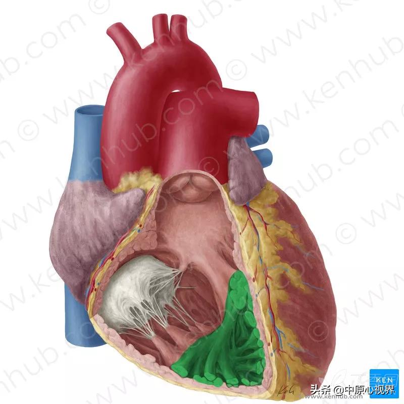 蹇冭剰瑙ｅ墫瀹為獙,蹇冭剰瑙ｅ墫鎵嬫湳