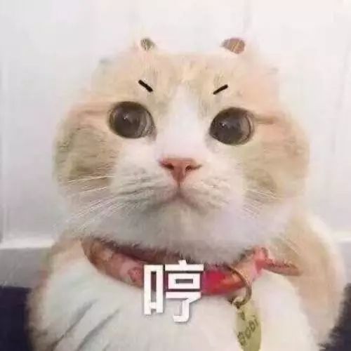 发质差洗头办法,发质越来越差怎么洗头