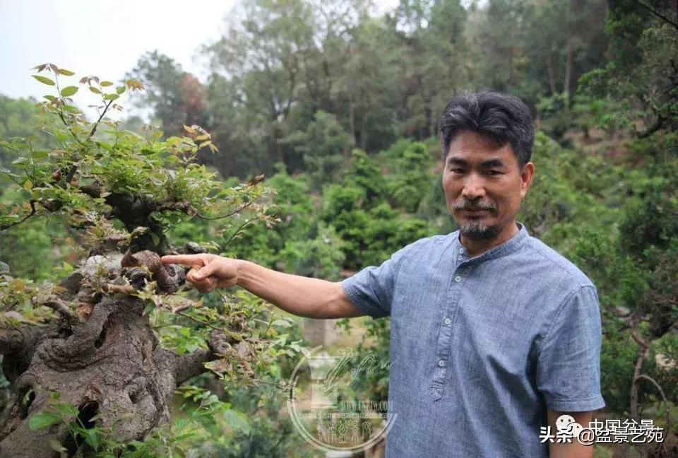 鏈存爲寰楀鐩嗘櫙,椤剁骇鏈存爲鐩嗘櫙娆ｈ祻