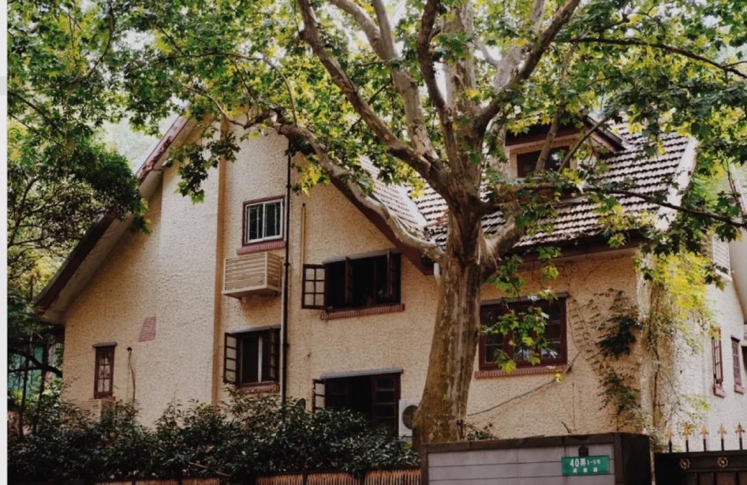 上海最值得逛的街是哪一条,上海最值得逛吃的马路