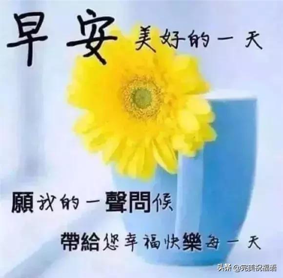 2019早安带字图片朋友圈,暖心早安祝福唯美图片带字