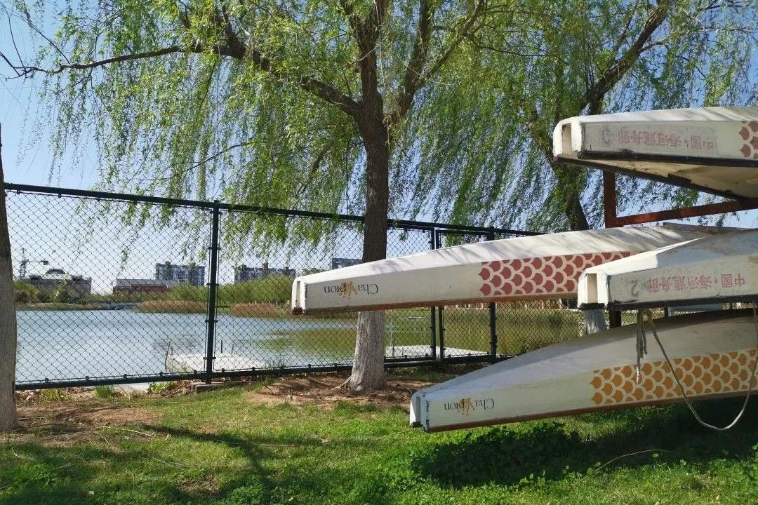 南开大学滨海学院天津排名,天津曾经的滨海学院