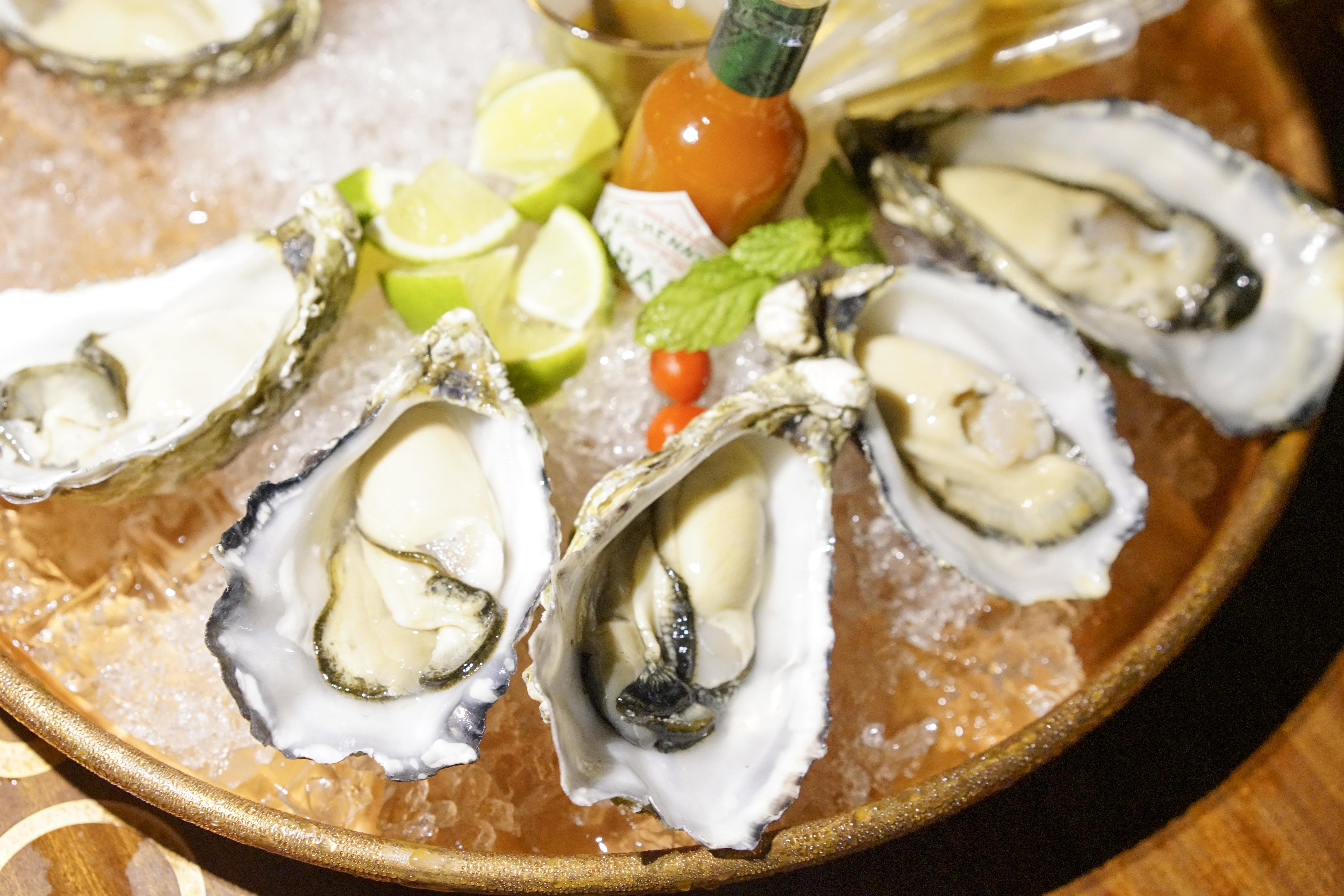 轮渡夜景视频,轮渡海上美景