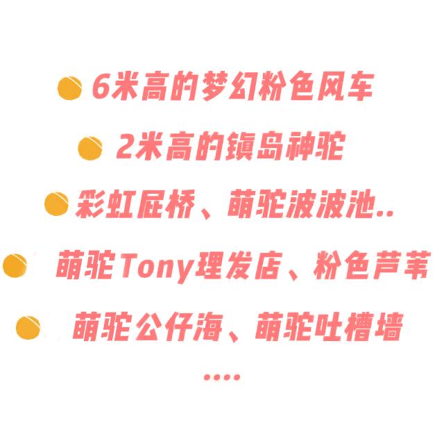 少女心爆炸,千只萌驼空降大坂田,领10000份羊驼潮趣礼品