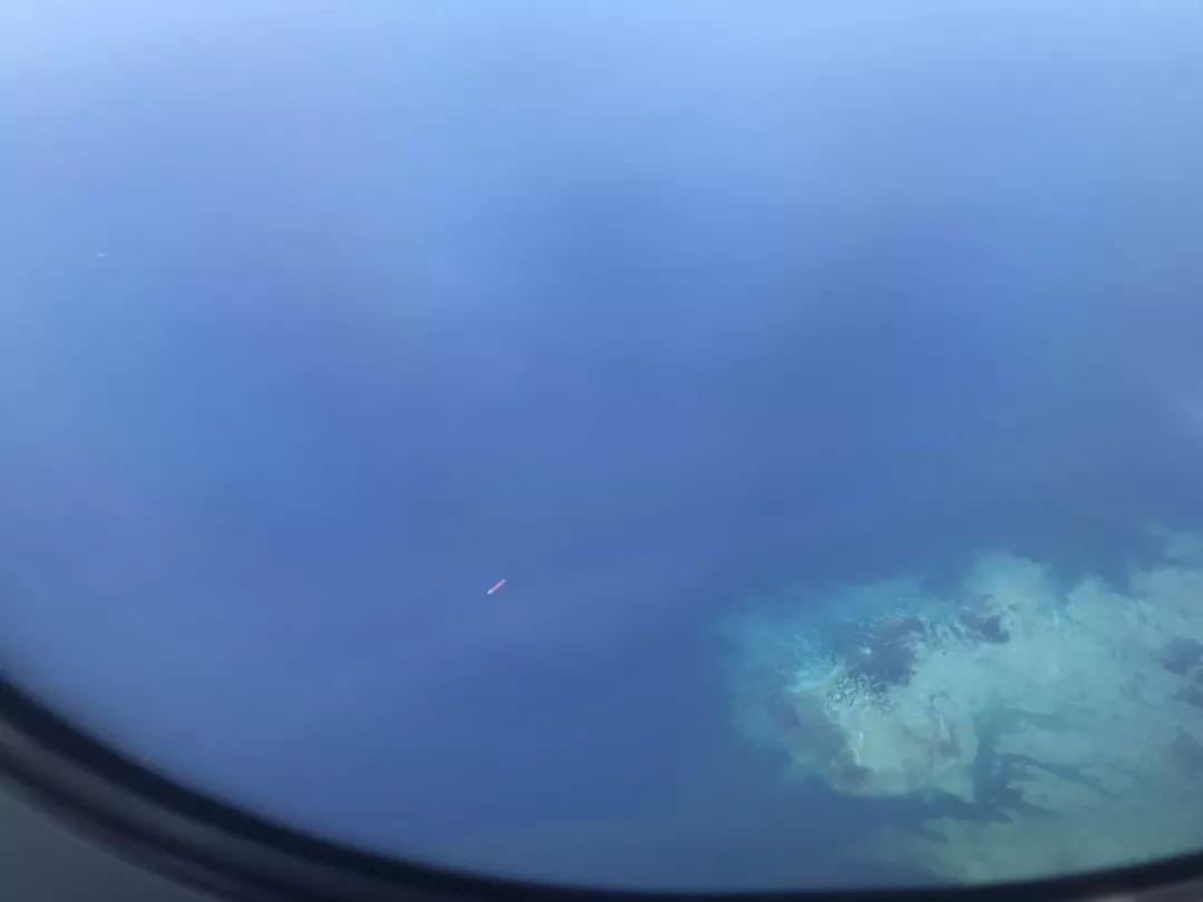 菲律宾自由潜水最好的地方,菲律宾旅游潜水