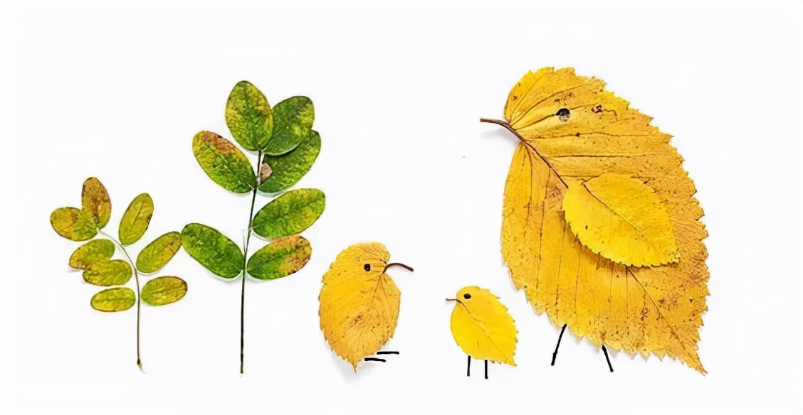 有多少种各种各样的小动物呢,用落叶做可爱的小动物