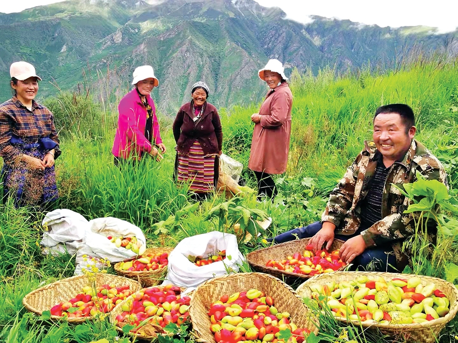 捷报频传!“惠州速度”力促*藏西**朗县新发展