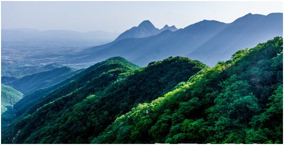 少林功夫起源完整视频,现在的少林功夫都有什么