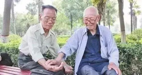 为什么香港人寿命最高,为何香港人寿命那么长