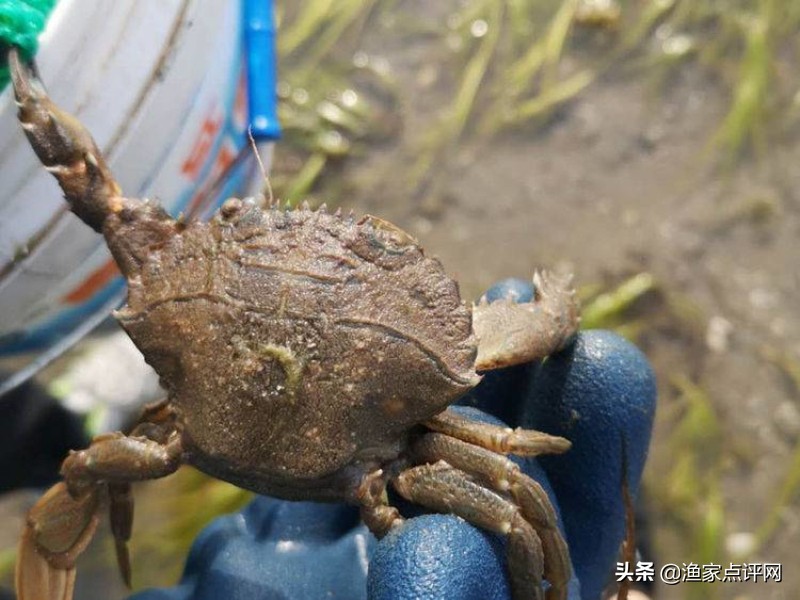 大连这个小岛不去看一看，真的会后悔