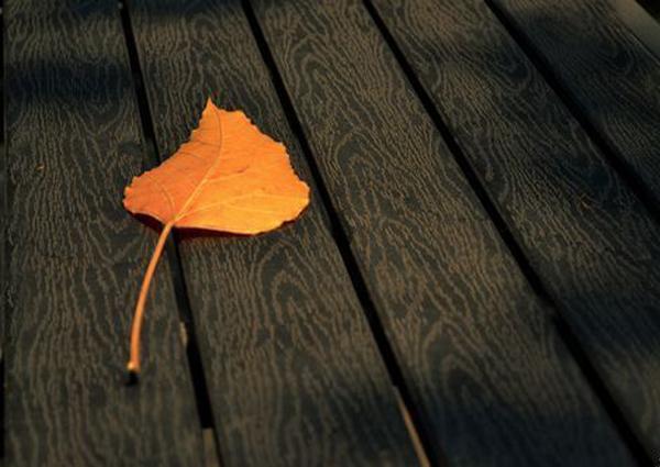 半路夫妻靠不住的意思,半路夫妻靠谁都靠不住