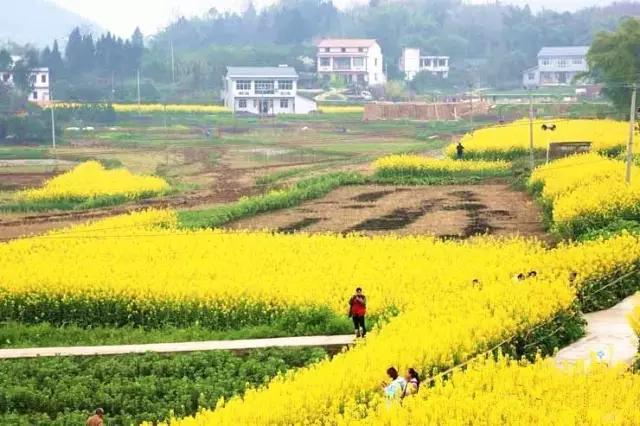 四川便宜又宜居的小城市,四川宜居的三四线小城