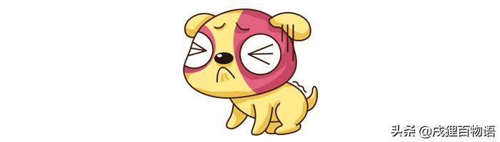 狗狗驱虫也驱了但就是不长肉,铲屎官养了宠物怎么办