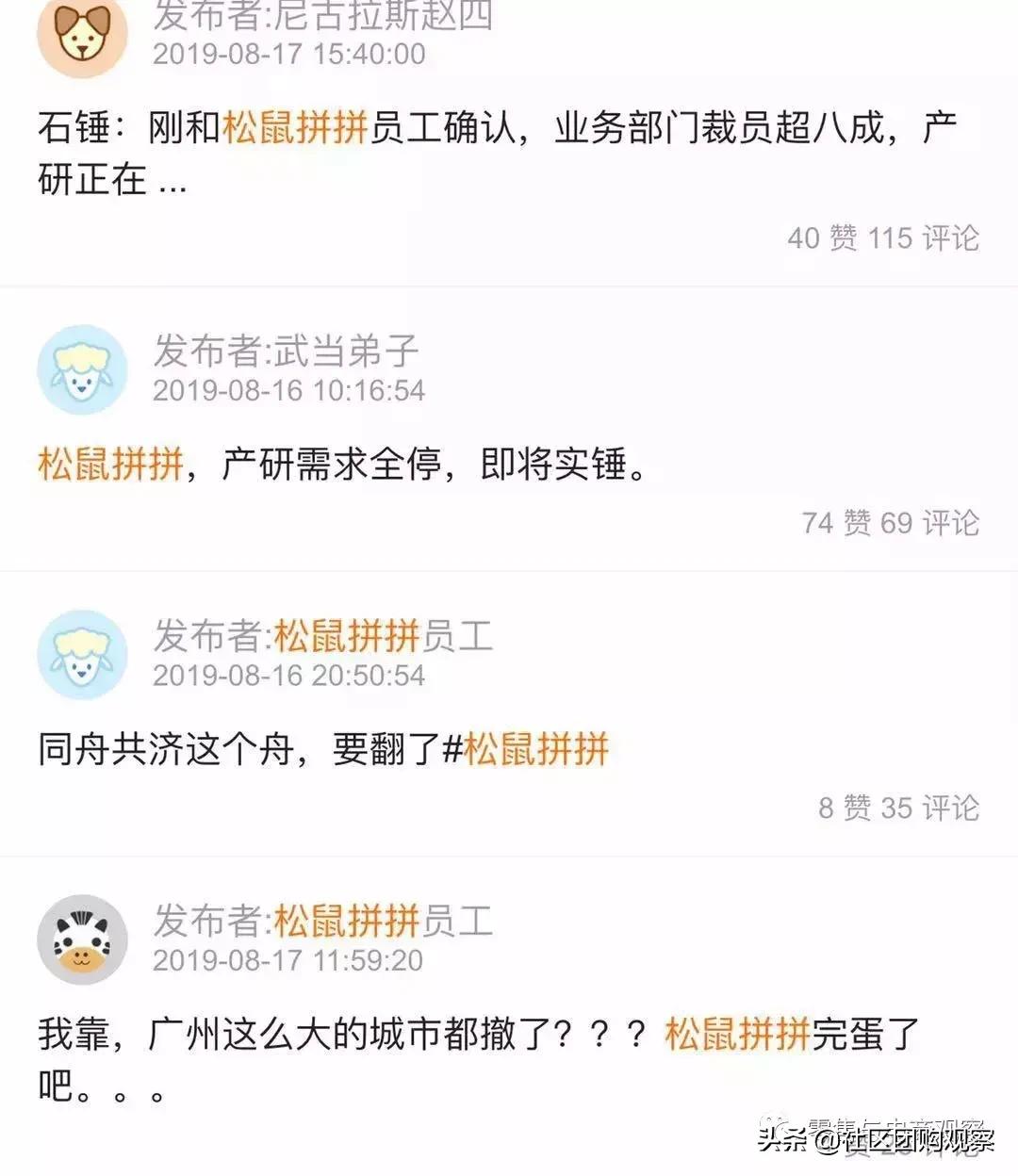 松鼠拼拼运营手册,松鼠拼拼威海