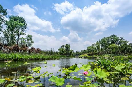 鍚堣偉榫欐箹4.0鏃朵唬,鍏洯浜哄眳鍥炲綊鑷劧