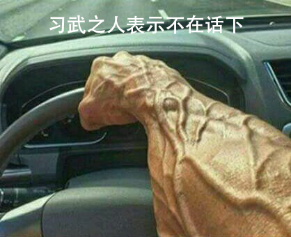 车评人说车是什么,车评人说完全没操控性