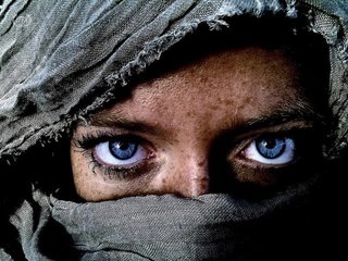 苹果最好看的照片,哪款iphone拍出来的照片更好看