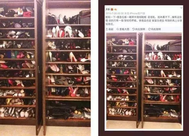 老佛爷的猫继承多少遗产,老佛爷去世了猫继承了多少遗产