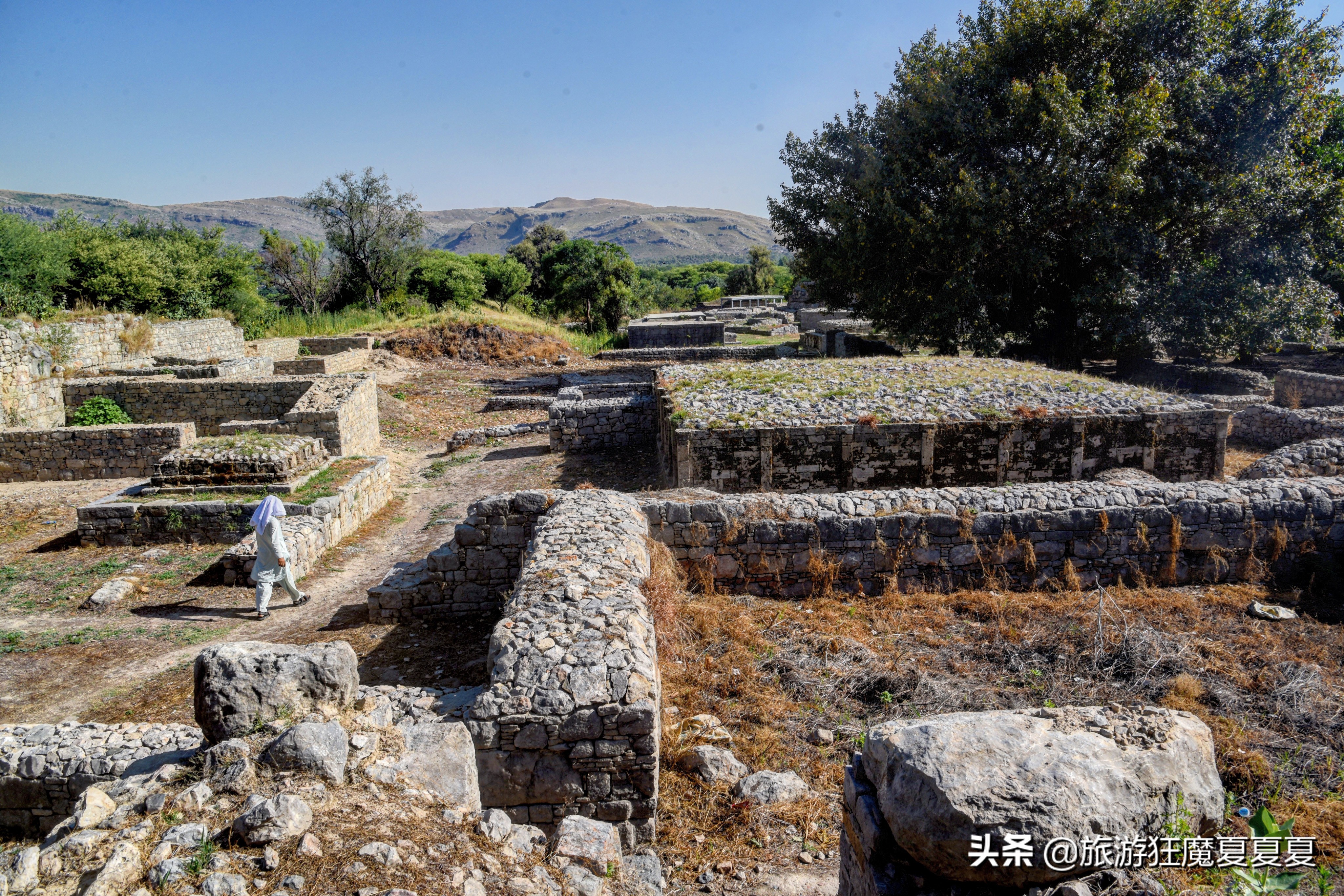 玄奘法师大雁塔采访,玄奘寺探访