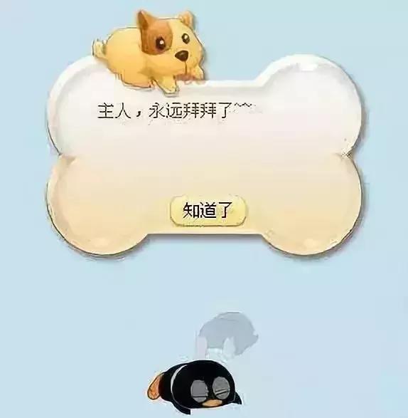 陪伴我13年的QQ宠物，永久下线了，那个小朋友，再见....
