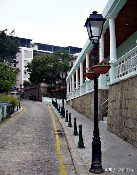 龙环葡韵拍照攻略,龙环葡韵照片