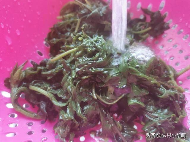 百吃不厌的网红青团吃100个也不腻,春季必吃青团香甜软糯鲜香细腻