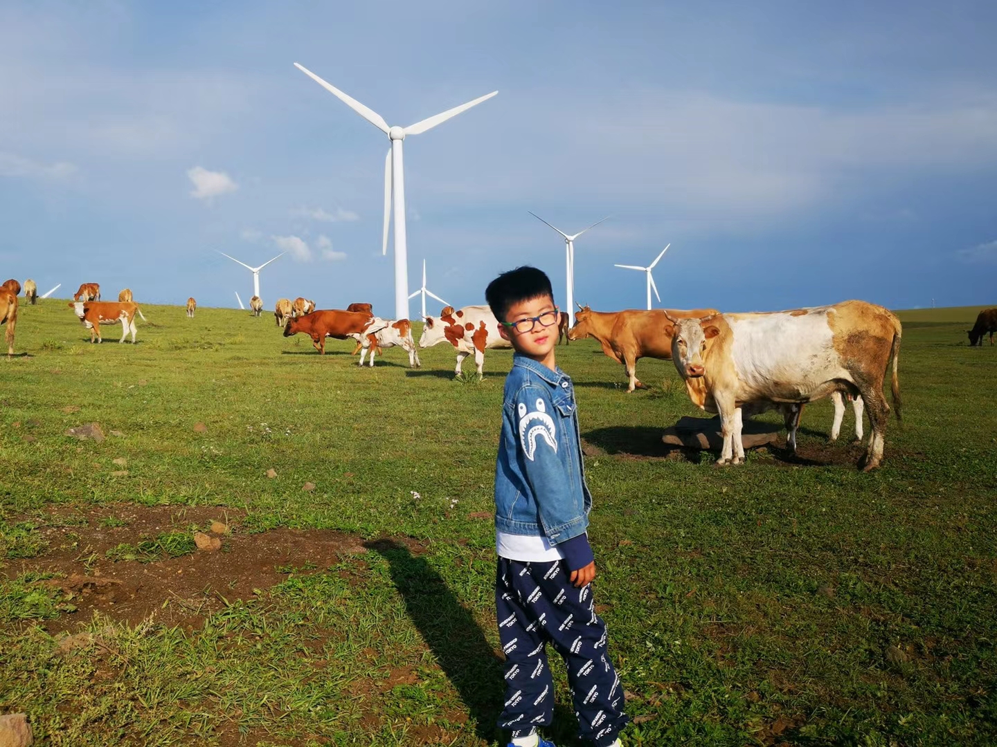 乌兰布统和红松洼哪个更值得去,辽宁乌兰布统草原旅游