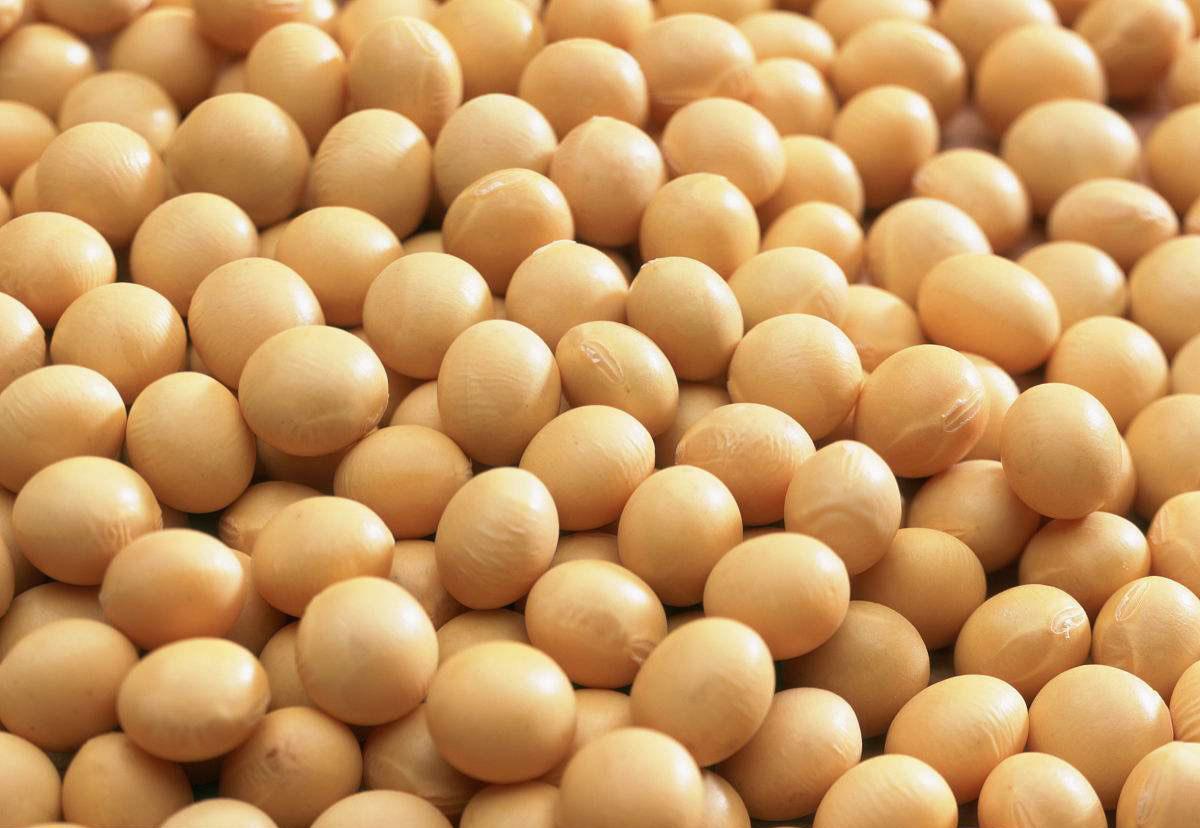 基因编辑帮助人类的成功案例,基因编辑是福音吗