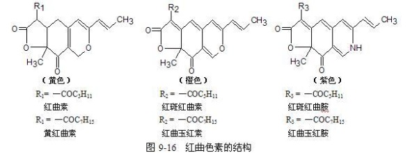 美容手术后不能吃的食物,美容手术后吃什么蔬菜