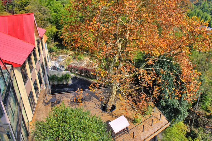 湖州周日游玩攻略推荐,湖州出游推荐