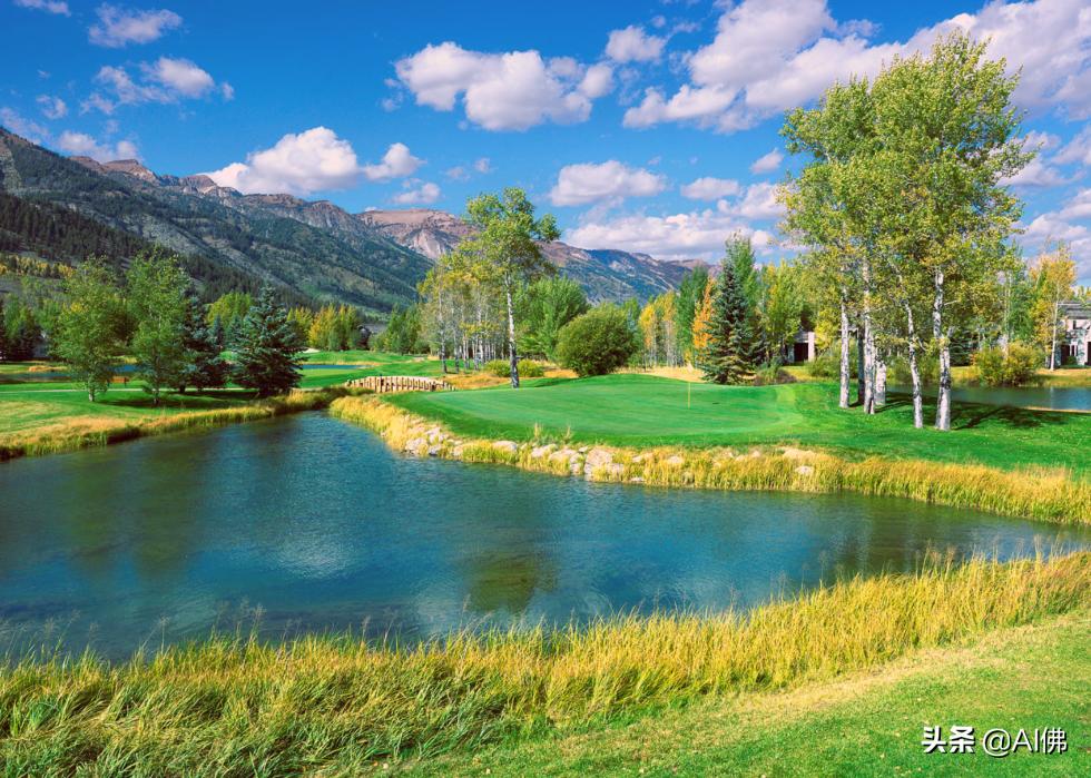 美国圆石滩高尔夫球场,美国高尔夫球场数量