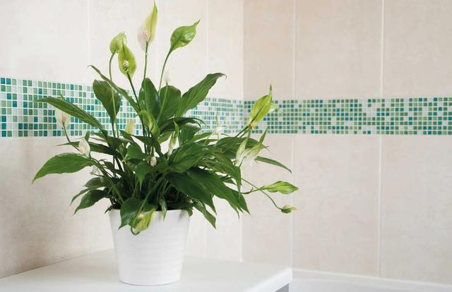 最好看极简装修设计,这才是我心中的极简风