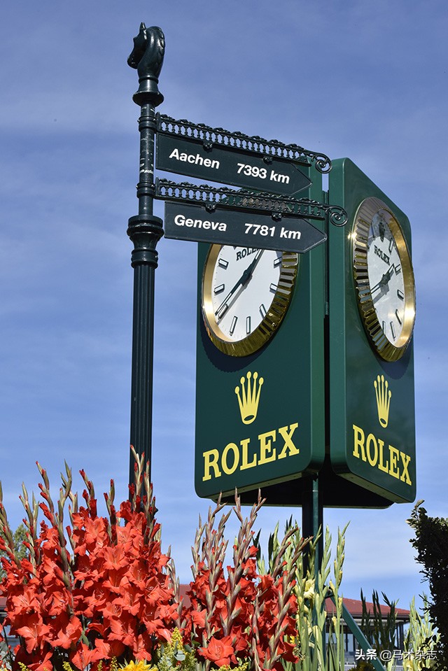 什么!听说几天后云杉草地将会上演一场冠军“厮杀”?