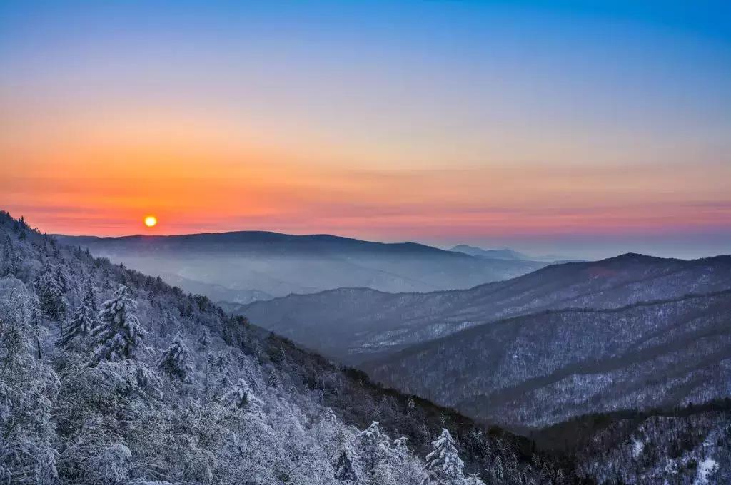 冬季视觉治愈系列！治好你的“冬天不想出门症”~