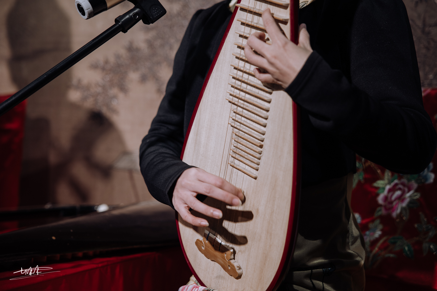 周庄古镇江南水乡美如画,周庄梦里水乡视频