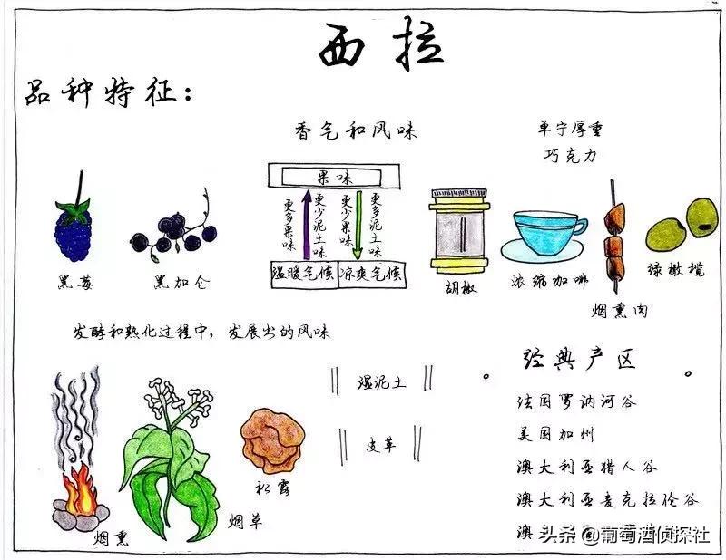 奔富389和407有什么区别?