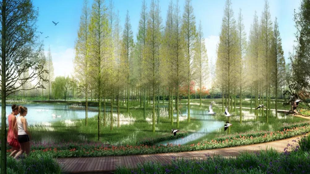 槐林湿地公园地址,槐林湿地公园可以进去么