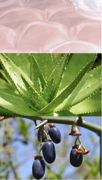 敏感肌夏季基础护肤指南:奇迹面膜72小时急救有奇效