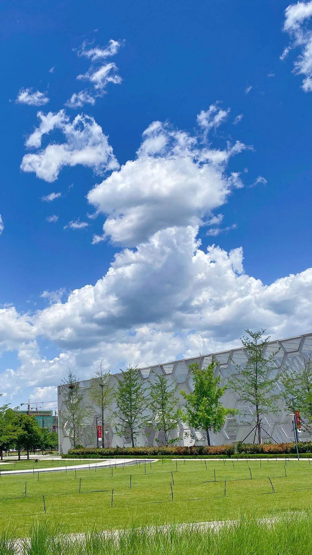 冬季山东旅行经典路线组合,秋冬山东省内旅游